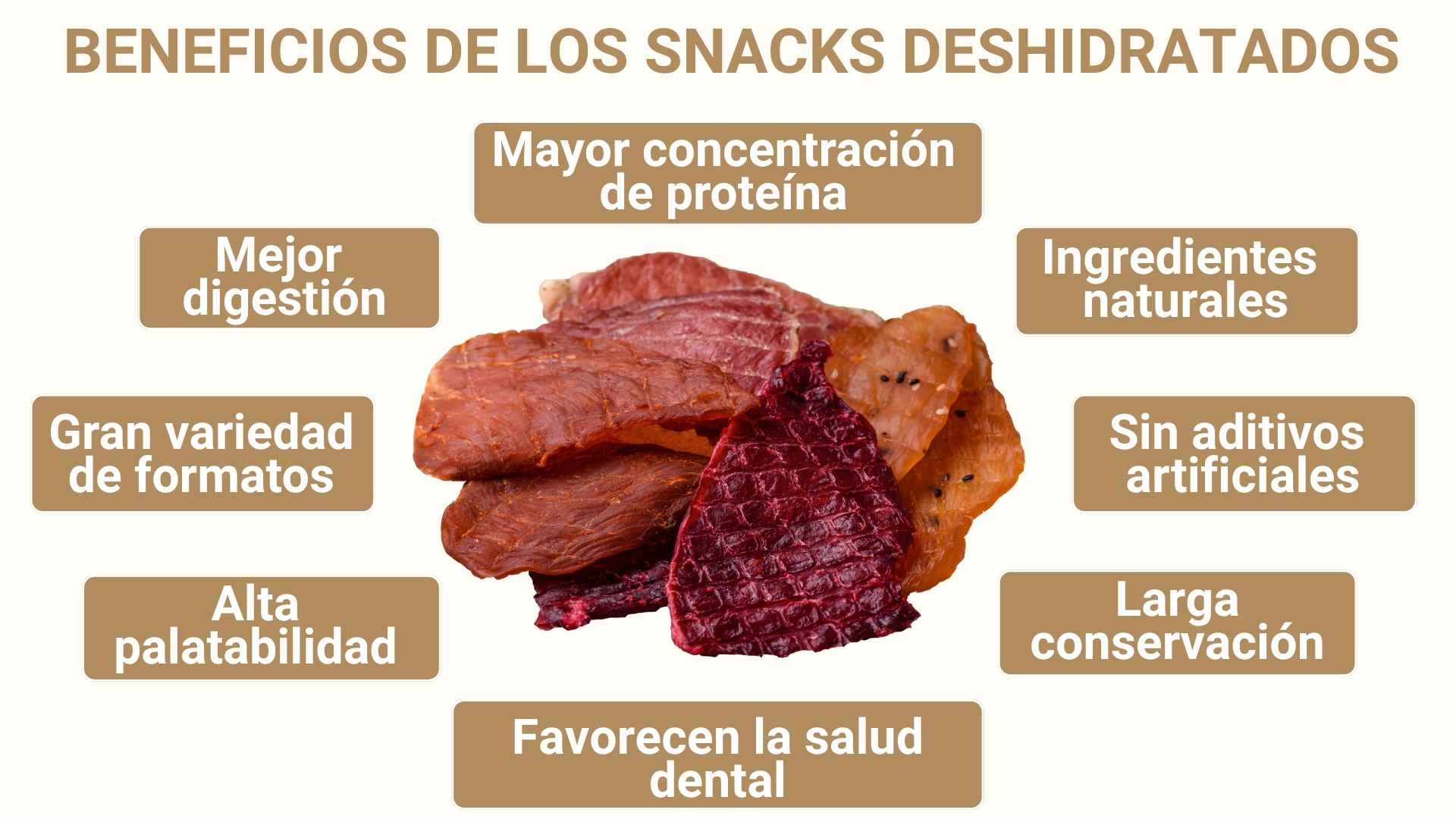 snacks deshidratados para perros beneficios